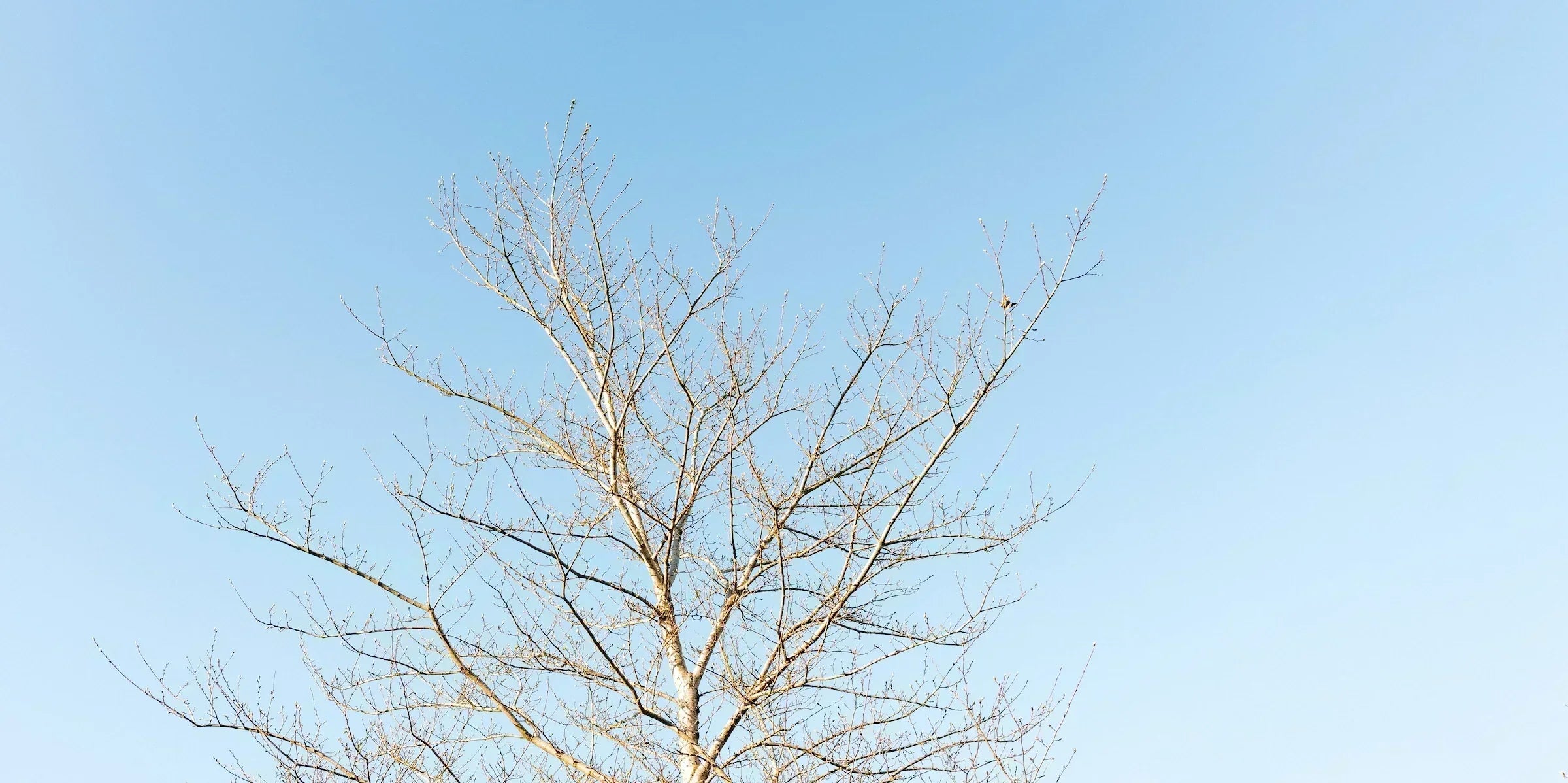 Cold, dry winter air outdoors